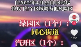今日热榜爆料新闻视频,今日焦点新闻视频深度解析